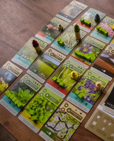 Brettspiel mit bunten Spielfiguren auf einem orangefarbenen Spielbrett.
