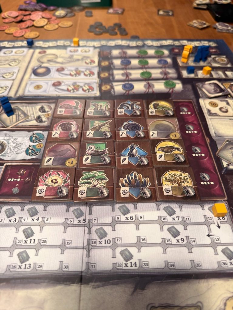 Brettspiel mit bunten Spielsteinen und verschiedenen Spielfeldern.